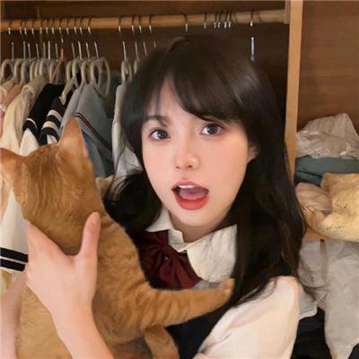 阳光普照2019